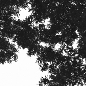 97大神超碰在线
