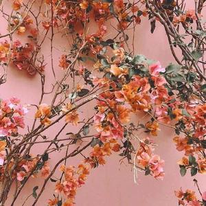 97大神超碰在线
